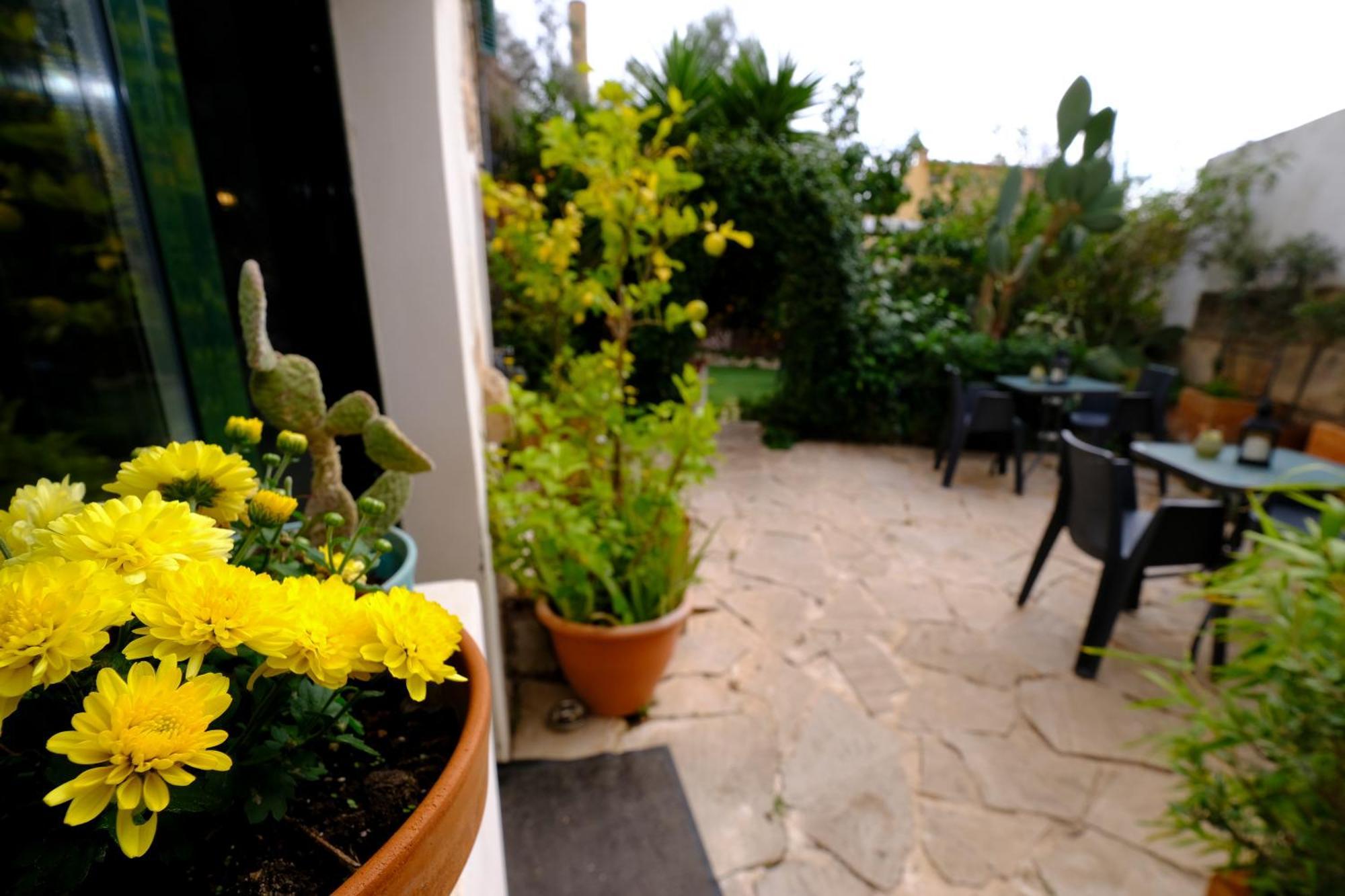 Casa Caimari Guest House, For Mountain Lovers! Exterior photo